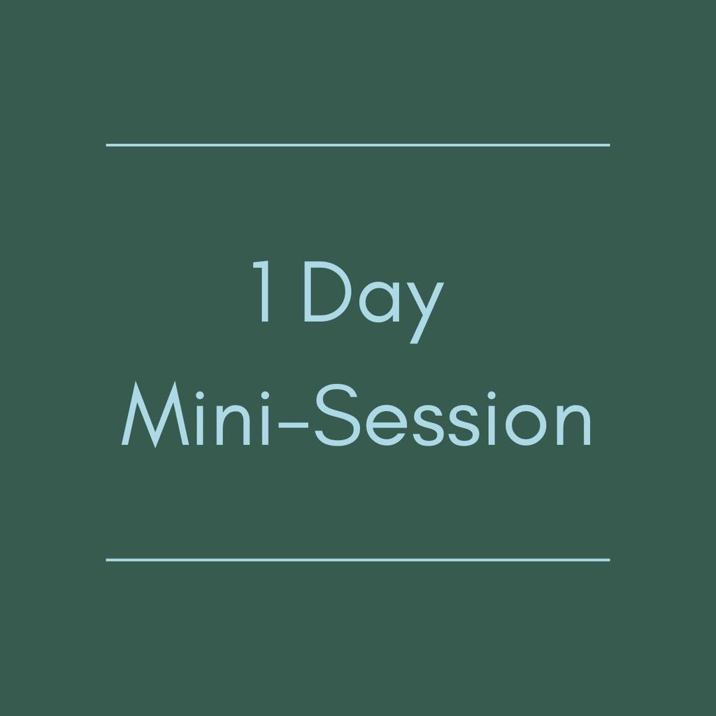 1 Day Mini-Session